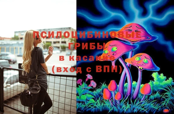 марки lsd Абаза