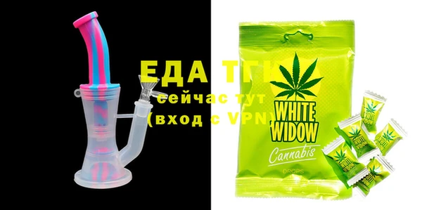индика Ельня