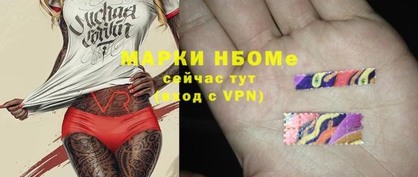 стафф Алзамай